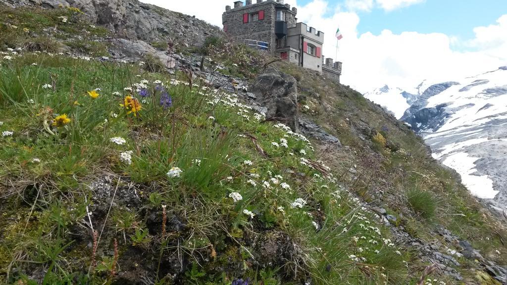 Hotel Rifugio Garibaldi Gebirgspass Stilfser Joch Exterior foto